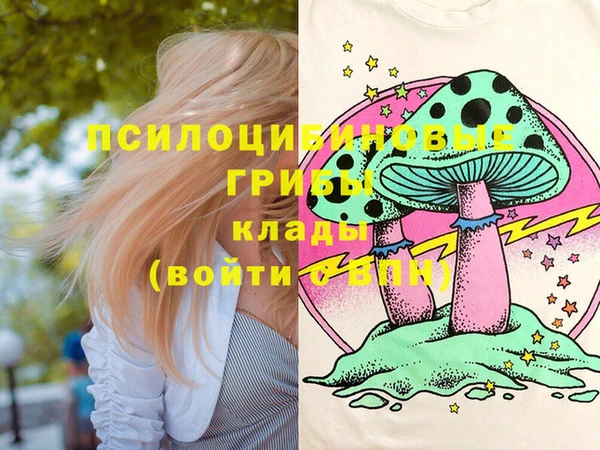 спиды Володарск