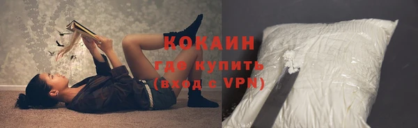 крисы Верея