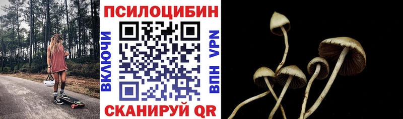 Купить где  Микунь  Псилоцибиновые грибы Cubensis 